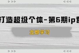 （14015期）打造 超级个体-第6期ip营：商业认知,产品设计,成交演练,解决知识变现难题