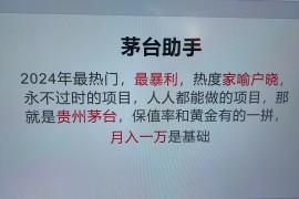 魔法贵州茅台代理，永不淘汰的项目，命中率极高，单瓶利润1000 ，包回收
