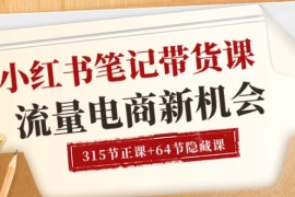 （10940期）小红书-笔记带货课【6月更新】流量 电商新机会 315节正课 64节隐藏课