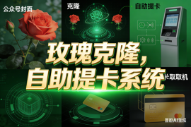 （18063期）玫瑰克隆工具，ai智能体软件，自媒体神器，一键爆款，60多个功能的详细教程。