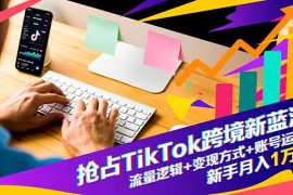 抢占TikTok跨境新蓝海：流量逻辑 变现方式 账号运营，新手月入1万 