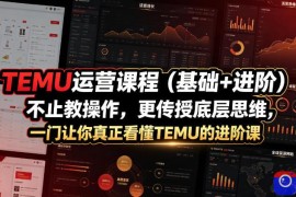 TEMU运营课程(基础 进阶)，不止教操作，更传授底层思维，一门让你真正看懂TEMU的进阶课