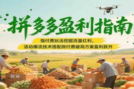 拼多多盈利指南：强付费玩法挖掘流量红利，活动爆流技术搭配微付费方案实现盈利跃升