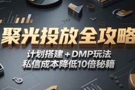 （15254期）2025小红书聚光投放全攻略，计划搭建 DMP玩法，私信成本降低10倍秘籍