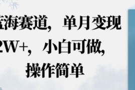 蓝海赛道，小红书私域项目，单月变现2W ，小白可做，操作简单