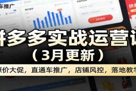 拼多多实战运营课（3月更新）：原价大促，直通车推广，店铺风控，落地教学