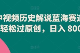 中视频历史解说蓝海赛道，轻松过原创，日入 800 【揭秘】