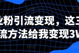 创业粉引流变现，这三种引流方法给我变现3W 【揭秘】