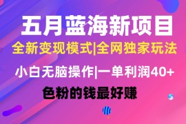 （10477期）五月蓝海项目全新玩法，小白无脑操作，一天几分钟，矩阵操作，月入4万 