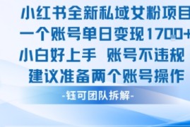 小红书全新私域女粉项目 单日变现1k  小白好上手账号不违规