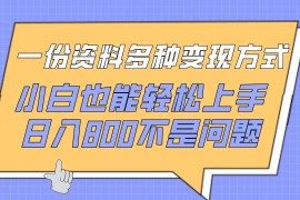 一份资料多种变现方式，小白也能轻松上手，日入800不是问题