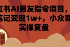 小红书AI男友指令项目，单条笔记变现1w ，小众赛道实操复盘