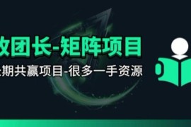 【团长合作】视频矩阵项目_招发手矩阵 剪辑师，共赢项目【揭秘】