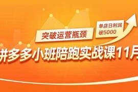 拼多多小班陪跑实战课11月，强付费矩阵、原价活动、暗券引流，突破运营瓶颈，单店日利润破5000
