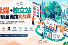 社媒 独立站跨境全链路实战课：从市场选品、TK起号到建站运营与私域复购，零基础跑通出海变现闭环