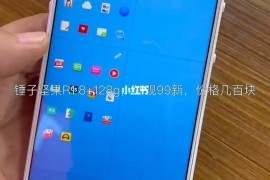 锤子手机r1(锤子手机R1开不了机)