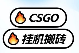 真全网独家CSGO挂G，最新玩法,单日捡漏1K ，不用电脑，不用打游戏【揭秘】