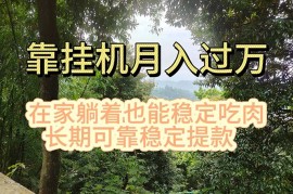 （11144期）挂机掘金，日入1000 ，躺着也能吃肉，适合宝爸宝妈学生党工作室，电脑…