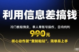 利用信息差搞钱：冷门教程倒卖，单人单账号操作，日均纯利多张，核心动作就“复制粘贴”，简单易上手