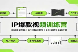 IP爆款视频训练营：赛道流量布局，7秒短视频起号，AI批量做号全套教学