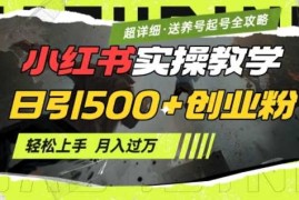 2月小红书最新日引500 创业粉实操教学【超详细】小白轻松上手，月入1W ，附小红书养号起号SOP