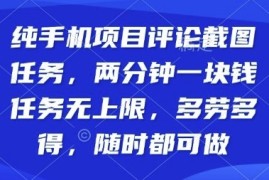 纯手机项目评论截图任务，两分钟一块钱多劳多得，随时随地都能做【揭秘】