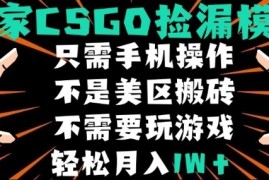 CSGO自动捡漏项目，最新独家玩法，不是美区搬砖，不需要了解和玩游戏，新手小白轻松月入1W 【揭秘】