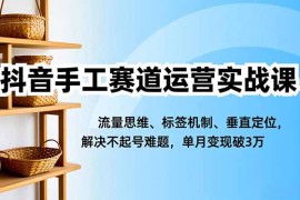 抖音手工赛道运营实战课，流量思维、标签机制、垂直定位，解决不起号难题，单月变现破3万