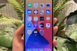 苹果官网iphone13(苹果官网iphone13pro参数)