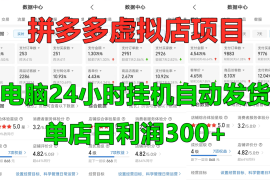 拼多多虚拟店铺项目，电脑挂机自动发货，单店日利润300 