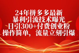 （10559期）24年拼多多最新暴利引流技术曝光，日引300 付费创业粉，操作简单，流量…