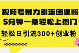 （11754期）视频号暴力引流创业粉，5分钟一条轻松上热门，轻松日引流300 创业粉