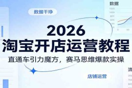 2026淘宝开店运营教程：直通车引力魔方，赛马思维爆款实操