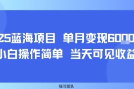 2025蓝海项目 单月变现6k  小白操作简单 当天可见收益