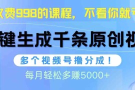 （10080期）视频号软件辅助日产1000条原创视频，多个账号撸分成收益，每个月多赚5000 