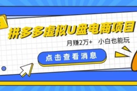 拼多多虚拟U盘电商红利项目：月赚2万 ，新手小白也能玩