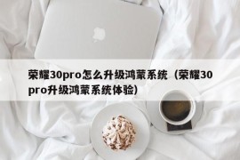 荣耀30pro怎么升级鸿蒙系统（荣耀30pro升级鸿蒙系统体验）