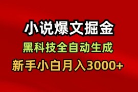 小说爆文掘金，黑科技一键全自动生成，新手小白月入3000 【揭秘】