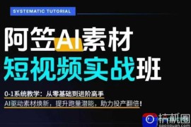AI视频素材实战班，0-1系统教学，从零基础到进阶高手AI驱动素材焕新，提升跑量潜能，助力投产翻倍