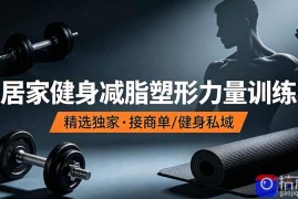 抖音健身热门短视频教学：居家健身减脂塑形力量训练，精选独家，接商单或者健身私域