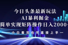 （12610期）今日头条最新掘金玩法，轻松矩阵日入2000 
