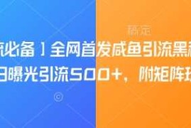 【引流必备】全网首发咸鱼引流黑科技，单日曝光引流500 ，附矩阵玩法【揭秘】