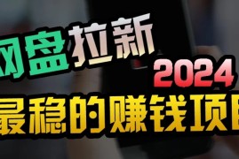 创业粉＋网盘拉新 私域全自动玩法，傻瓜式操作，小白可做，当天见收益