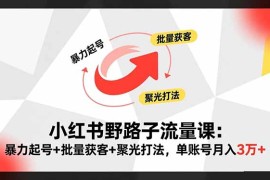 小红书野路子流量课：暴力起号 批量获客 聚光打法，单账号月入3万 