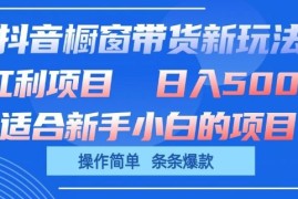 抖音橱窗带货新玩法，单日收益几张，操作简单，条条爆款【揭秘】