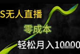 KS无人直播25年最新玩法，只需一部手机，轻松月入1W 【揭秘】