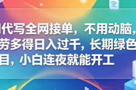 AI代写全网接单，不用动脑，长期绿色项目，小白连夜就能开工【揭秘】