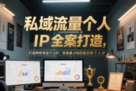 私域流量个人IP全案打造，打造特色专业个人IP，未来最值钱的是你的个人IP