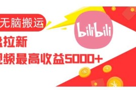 视频无脑搬运b站网盘拉新，单视频最高收益5k 【揭秘】