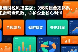 （17197期）电商财税风控实战：3天构建合规体系，规避稽查风险，守护企业核心利润